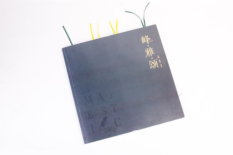 画册